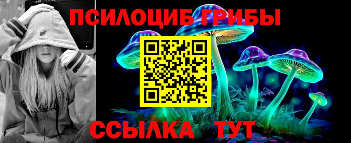 Псилоцибиновые грибы GOLDEN TEACHER Сатка